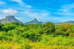 Is Easy Legal Betting Apps in India Legal in India? Complete 2026 Guide